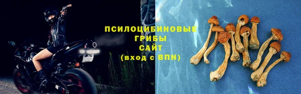 эйфоретик Магадан