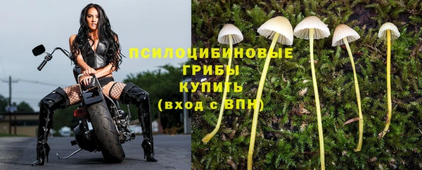 мдпв Анива