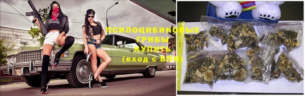 эйфоретик Магадан