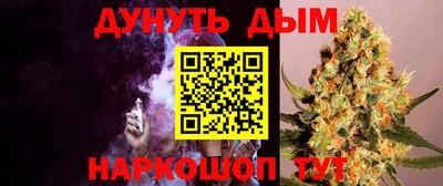 бошки Гай