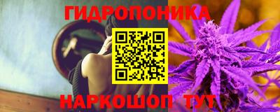 гидропоника Гусев