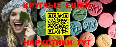гидропоника Гусев
