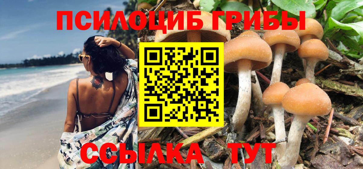 Псилоцибиновые грибы MAGIC MUSHROOMS  Екатеринбург  Галлюциногенные грибы прущие грибы 