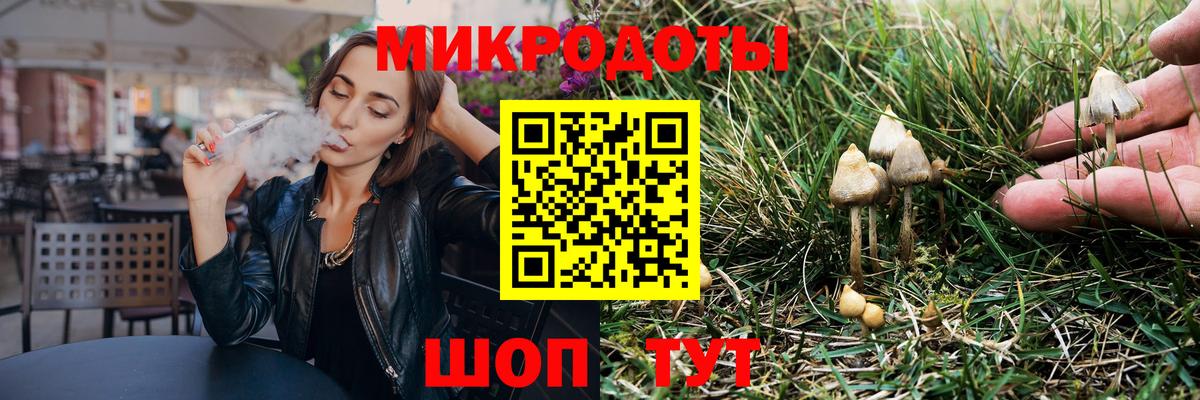 Псилоцибиновые грибы мицелий Екатеринбург