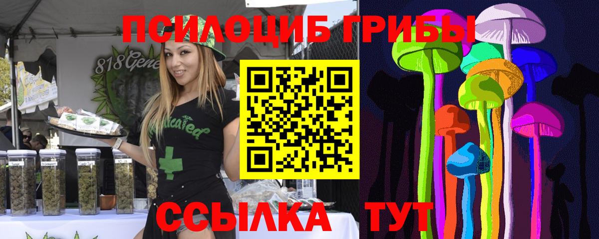 Екатеринбург  Галлюциногенные грибы Magic Shrooms  Псилоцибиновые грибы прущие грибы  Вход с VPN 